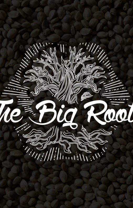 TBR Web y Merchandise 2021