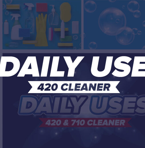 Daily Use Logo y etiqueta